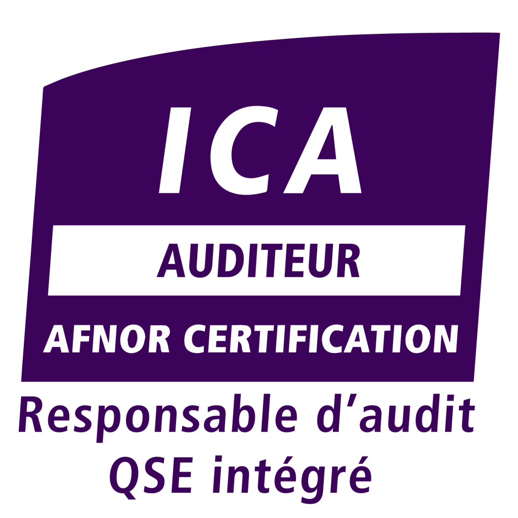logo auditeur ica qse